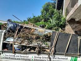 Best Carpet Removal and Disposal  in Williamston, SC